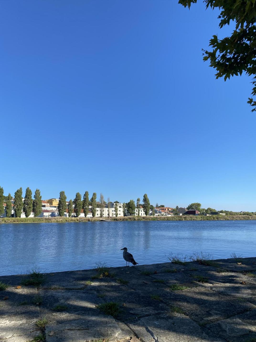 Apartament Praceta Vila Do Conde Buitenkant foto